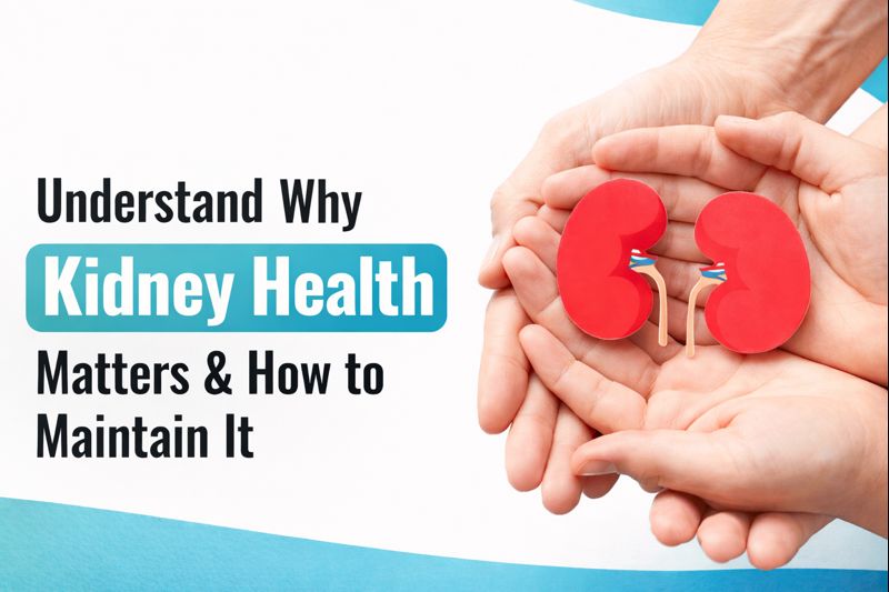 Understanding the Kidney and Why Blood Tests Matter for Your Health