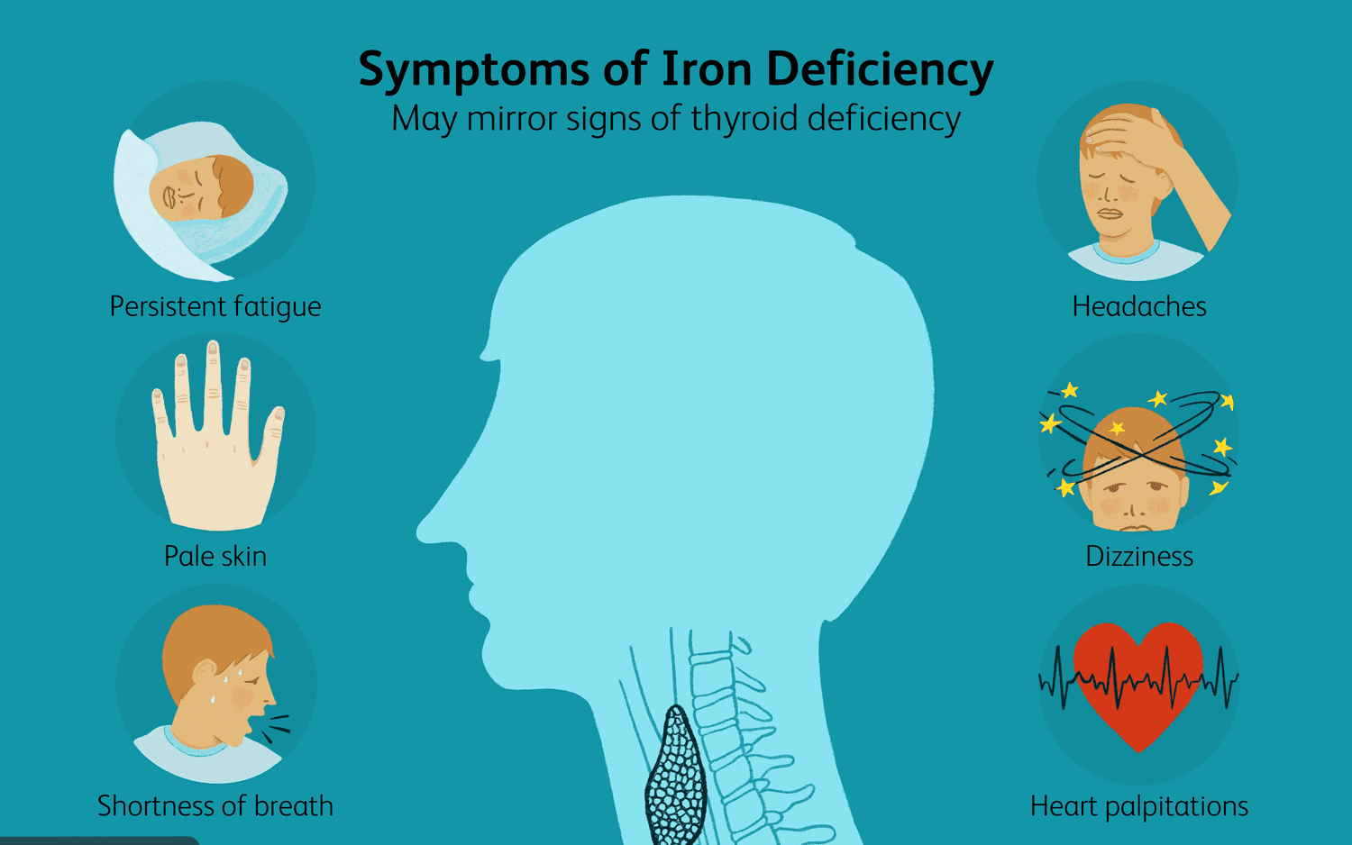 What Is the Difference Between Iron Deficiency and Anaemia?